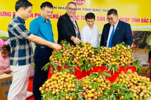 Hàng nghìn lò sấy vải thiều ở Bắc Giang sẵn sàng hoạt động