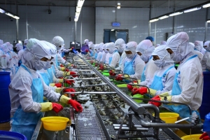 Cà Mau cải thiện môi trường đầu tư kinh doanh cho cộng đồng doanh nghiệp, hướng tới sự phát triển bền vững