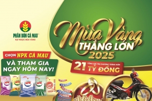NPK Cà Mau 20-10-10: Chọn đúng, trúng mùa vàng