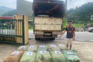 Cao Bằng: Liên tiếp triệt phá các vụ vận chuyển lá thuốc lá lậu, thu giữ hơn 1,1 tấn nguyên liệu không rõ nguồn gốc