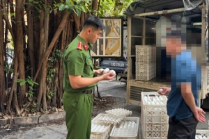 Lạng Sơn: Phát hiện, thu giữ 24.000 quả trứng gia cầm không rõ nguồn gốc