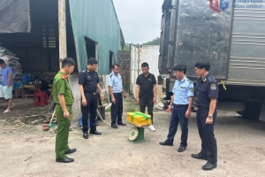Chi cục Hải quan Khu vực VIII: Bắt giữ 174 vụ buôn lậu, gian lận thương mại, hàng giả, hàng vi phạm sở hữu trí tuệ