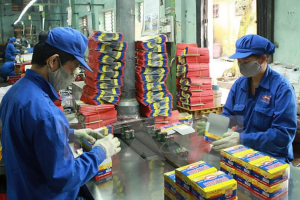 Pin Hà Nội lên kế hoạch tạm ứng cổ tức đợt 1 năm 2025 bằng tiền mặt, với tỷ lệ chi trả 20%