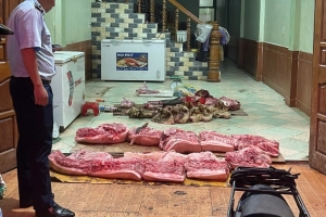 Ngăn chặn và kịp thời tiêu hủy 220kg thịt lợn không đảm bảo an toàn thực phẩm