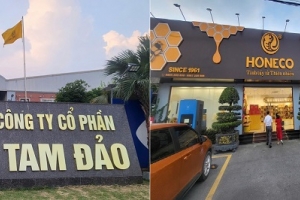 Honeco: Nâng tầm mật ong Việt từ di sản đến công nghệ, vững vàng nói không với hàng giả, hàng nhái
