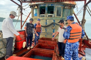 Cảnh sát biển 4 bắt giữ tàu cá vận chuyển 50.000 lít dầu DO trái phép trên biển Tây Nam