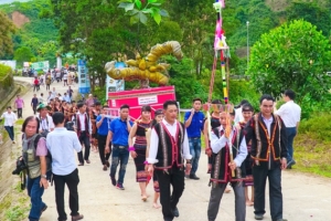 Lần đầu tiên tổ chức Lễ hội quốc tế sâm Việt Nam năm 2025: Khẳng định thương hiệu Việt