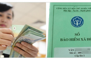 Long An tăng cường thực hiện chính sách bảo hiểm xã hội, bảo hiểm y tế, bảo hiểm thất nghiệp
