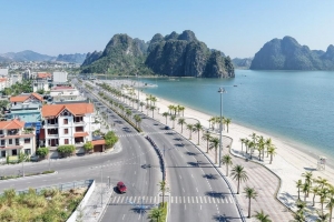 Căn hộ Hạ Long: Thị trường đang “nén”, cơ hội cho nhà đầu tư đón sóng sớm