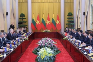 Chủ tịch nước Lương Cường hội đàm với Tổng thống Lithuania Gitanas Nauseda
