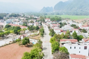 Thanh Hóa huy động tổng lực cho Tổng điều tra nông thôn, nông nghiệp 2025
