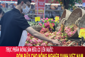 Thực phẩm nông sản hữu cơ lên ngôi: Đòn bẩy cho nông nghiệp xanh Việt Nam