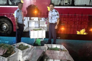 Phát hiện hơn 250 kg thịt heo không rõ nguồn gốc, xuất xứ đang được đưa đi tiêu thụ