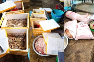 Phạt 126 triệu đồng với cơ sở kinh doanh hơn 3,4 tấn nội tạng động vật không rõ nguồn gốc