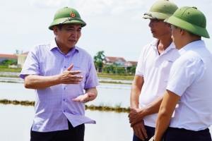 Quảng Bình khẩn trương khôi phục sản xuất nông nghiệp sau đợt mưa lũ kéo dài