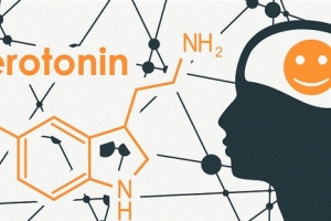 Mất ngủ do thiếu serotonin: Thủ phạm thầm lặng ít ai ngờ