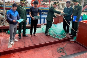 Thanh Hóa tiếp tục triển khai có hiệu quả các giải pháp chống khai thác IUU