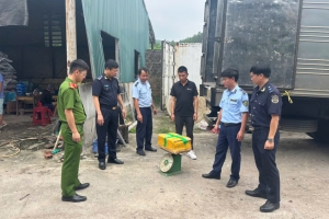 Quảng Ninh: 6 tháng đầu năm xử lý hơn 1.460 vụ buôn lậu, gian lận thương mại