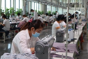 Long An thu ngân sách Nhà nước ước đạt gần 21 nghìn tỷ đồng trong 6 tháng đầu năm 2025