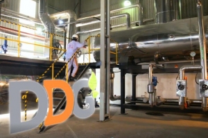Công ty CP Đầu tư Công nghiệp Xuất nhập khẩu Đông Dương bị xử phạt 370 triệu đồng