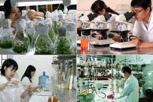 Tháo gỡ rào cản thể chế, tạo cơ chế hợp tác công - tư cho khoa học công nghệ