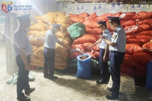 Phát hiện, bắt giữ, xử phạt 322 cơ sở, tổ chức, cá nhân vi phạm trong sản xuất, chế biến, kinh doanh thực phẩm