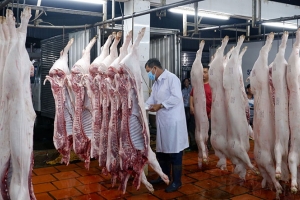 Hà Nội vẫn gặp khó trong kiểm soát hoạt động giết mổ động vật