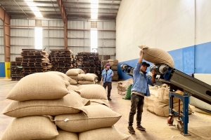 Gia Lai: Kim ngạch xuất khẩu trong 6 tháng năm 2025 ước đạt 783,58 triệu USD