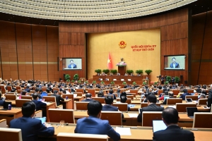 Nghị quyết chỉ định Chủ tịch, Phó Chủ tịch Hội đồng nhân dân các tỉnh, thành phố