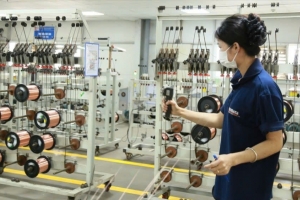 Bệ phóng cho doanh nghiệp tư nhân phát triển