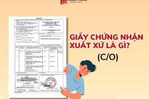 Phân cấp mạnh mẽ trong cấp Giấy chứng nhận xuất xứ hàng hóa (C/O): Địa phương sẽ trực tiếp cấp 31 mẫu C/O từ 1/7
