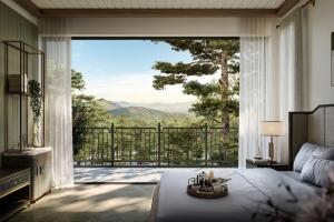 Thanh Xuan Valley và những điểm chạm chăm sóc sức khỏe giữa triệu tán thông 50 năm