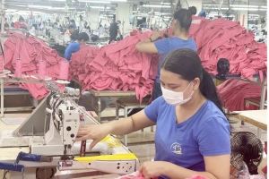 Doanh thu 6 tháng của TNG tăng 15% so với cùng kỳ