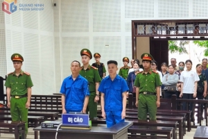 Xét xử vụ án "Đưa người Trung Quốc nhập cảnh trái phép vào Việt Nam"