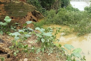 Bắc Ninh: Khẩn trương xử lý sự cố sạt lở bờ, bãi sông khu vực đê tả Cầu