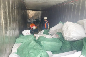 Khởi tố vụ án xuất khống 1.400 tấn chân gà đông lạnh dấu hiệu trốn thuế
