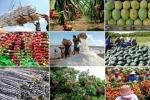 Ngành nông nghiệp đặt mục tiêu 65 tỷ USD, giao chỉ tiêu cụ thể từng mặt hàng