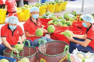 Ban hành kế hoạch đẩy mạnh xuất khẩu nông, lâm, thủy sản năm 2025
