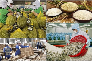 Tin vui: Xuất khẩu sản phẩm nông nghiệp 6 tháng đạt 33,84 tỷ USD, tăng 15,5%