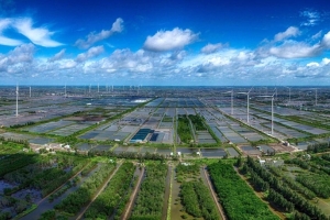Quy định tiêu chí xác nhận dự án đầu tư thuộc danh mục phân loại xanh