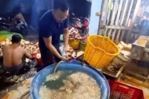 Phát hiện 3 cơ sở sử dụng hàn the để tẩy trắng hàng trăm kg hoa chuối