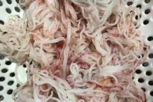 Bún đổi màu bất thường, người tiêu dùng lo ngại chất lượng.