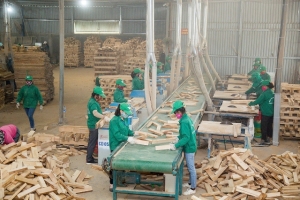 Quảng Trị: Hơn 530 doanh nghiệp mới thành lập, tạo động lực cho kinh tế tư nhân phát triển