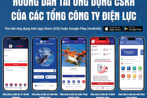 Chủ động theo dõi, kiểm soát tình hình sử dụng điện mỗi ngày với ứng dụng CSKH Điện lực