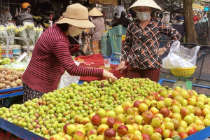 Hà Nội: Cẩn trọng với các loại Đào, Mận được quảng có nguồn gốc từ Sa Pa, Mộc Châu