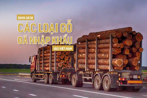 Công bố danh mục các loại gỗ đã nhập khẩu vào Việt Nam mới nhất