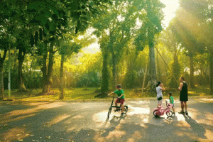 Thời tiết ngày 12/7/2025: Miền Bắc, Hà Nội trời mát, mưa rào và dông ngày cuối tuần