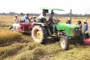 Tây Ninh phấn đấu sản lượng lúa đạt từ 3.770.000 tấn trở lên