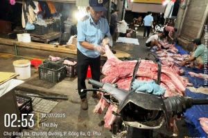 Huế: Dịch bệnh trên đàn lợn đã được kiểm soát tốt