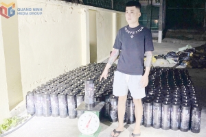 Phát hiện, bắt giữ đối tượng vận chuyển trái phép 384 bình khí cười